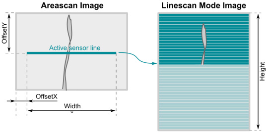 Configuring the image geometry for the line scan mode