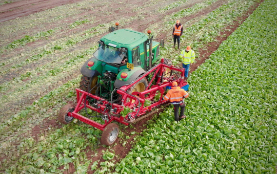 Prototype lettuce harvesting robot of Agri-Epicentre (UK)