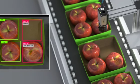 IDS camera checks completeness and quality of apples in packaging on a conveyor belt.