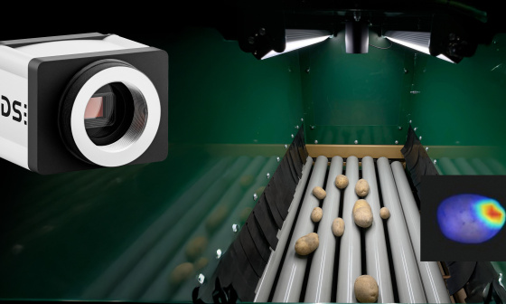 AI-based potato sorting system with a robust industrial camera for visual quality control in on-farm processing