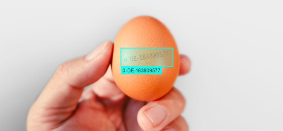 OCR result overlay shows correctly read code of an egg labelling.