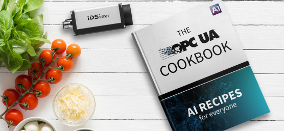 IDS NXT and a book called ‘The OPC UA Cookbook’ alongside food