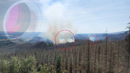 Camera system detects source of fire in the forest
