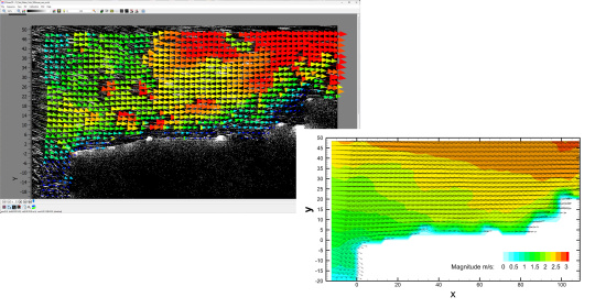 Screenshots of a transient and a time-averaged flow field