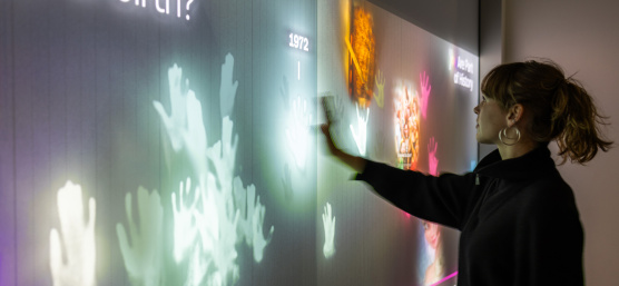 Interactive media wall with image processing and real‑time data visualization