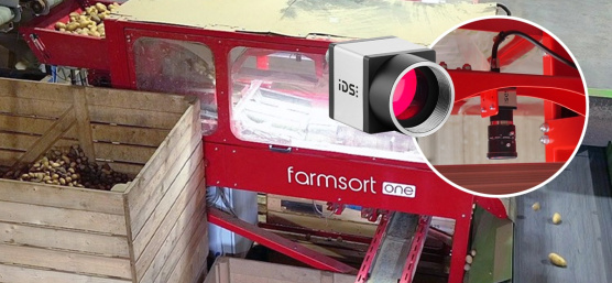 IDS industrial camera monitors potato sorting at the farmsort facility