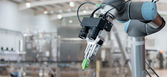 Robot arm with IDS cameras