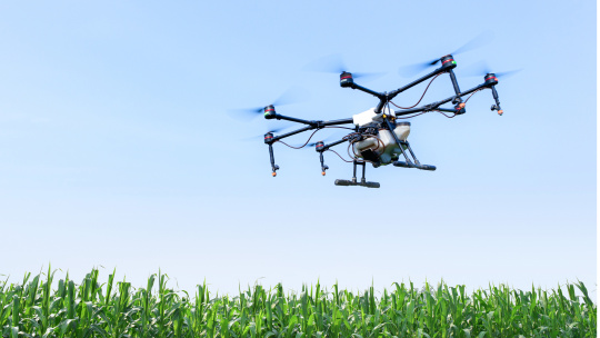 Agricultural drone flying over a green maize field.