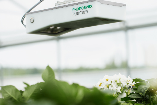 Plants in a greenhouse are monitored by a camera