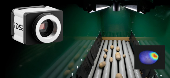 AI-based potato sorting system with a robust industrial camera for visual quality control in on-farm processing