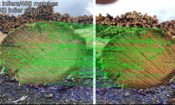 Identification of individual tree trunks based on visual features in image data