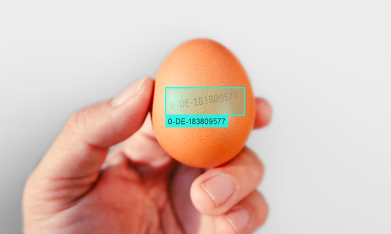 OCR result overlay shows correctly read code of an egg labelling.