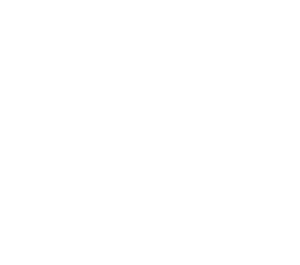 Logo of the IDS lighthouse software - lighthouse icon