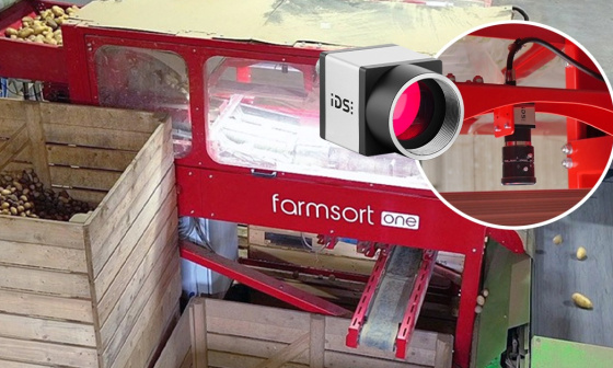 IDS industrial camera monitors potato sorting at the farmsort facility