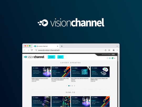 Vision Channel logo above a website showing a video overview.