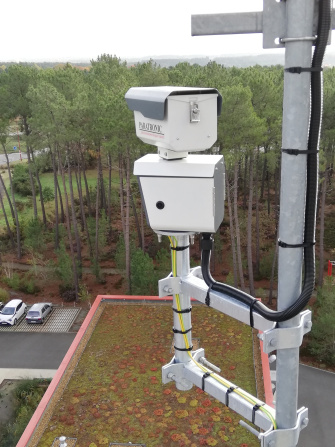 View of the forest from the PARATRONIC system