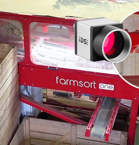 IDS industrial camera monitors potato sorting at the farmsort facility