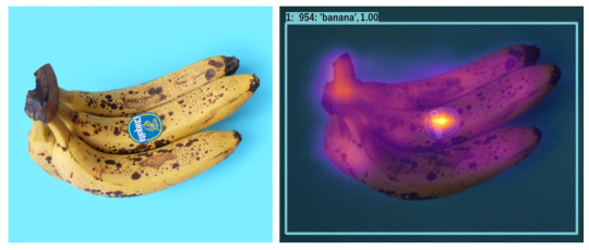 Figure 3 "Attention Maps" visualise the focus of a neural network on specific image content, also including a data bias triggered by a product label in the training images.
